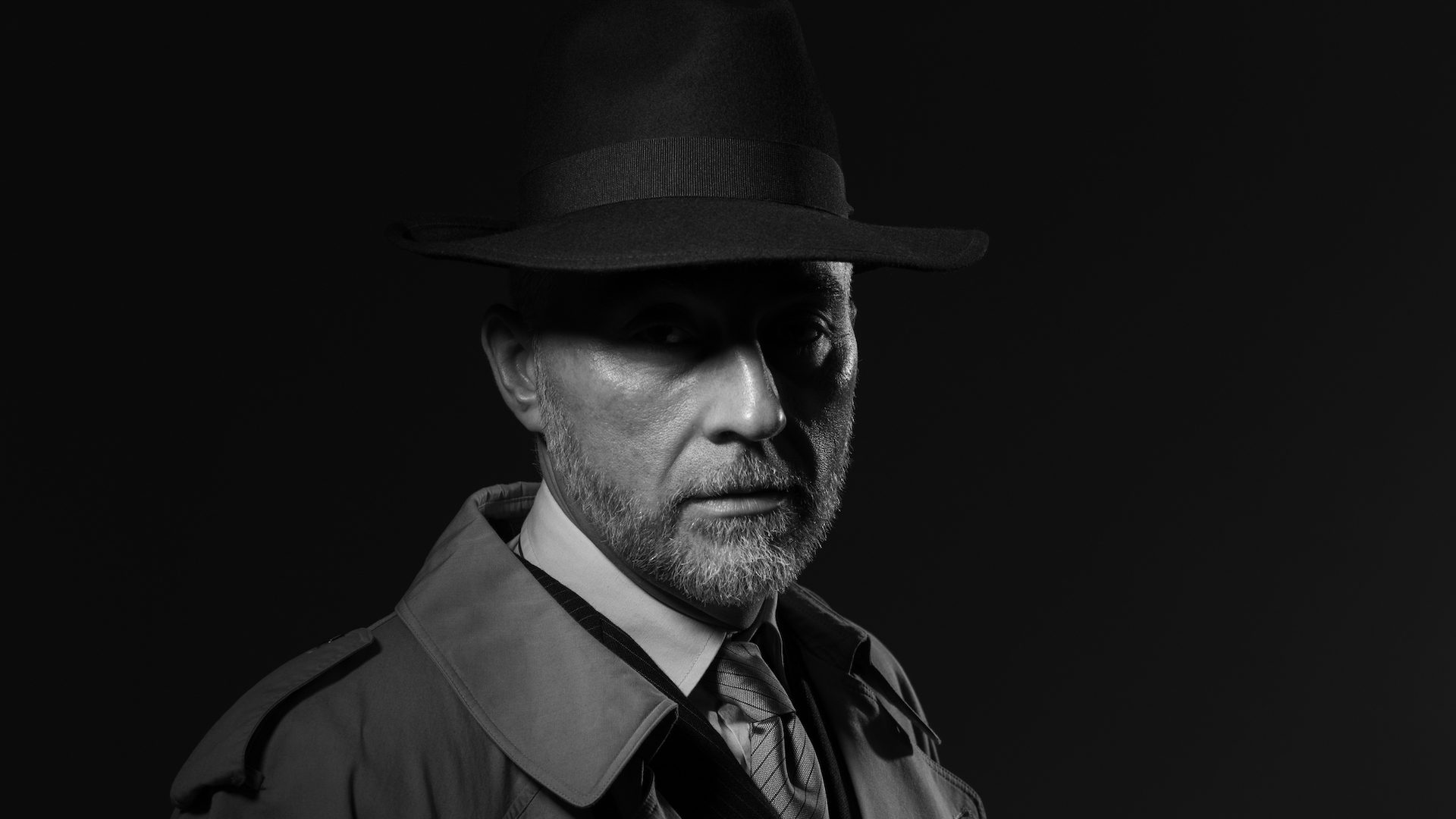 I SPY Detectives Private Investigations